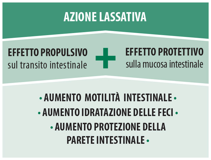 Azione lassativa